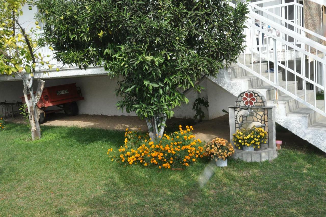 Despina Apartment Keramoti  Luaran gambar